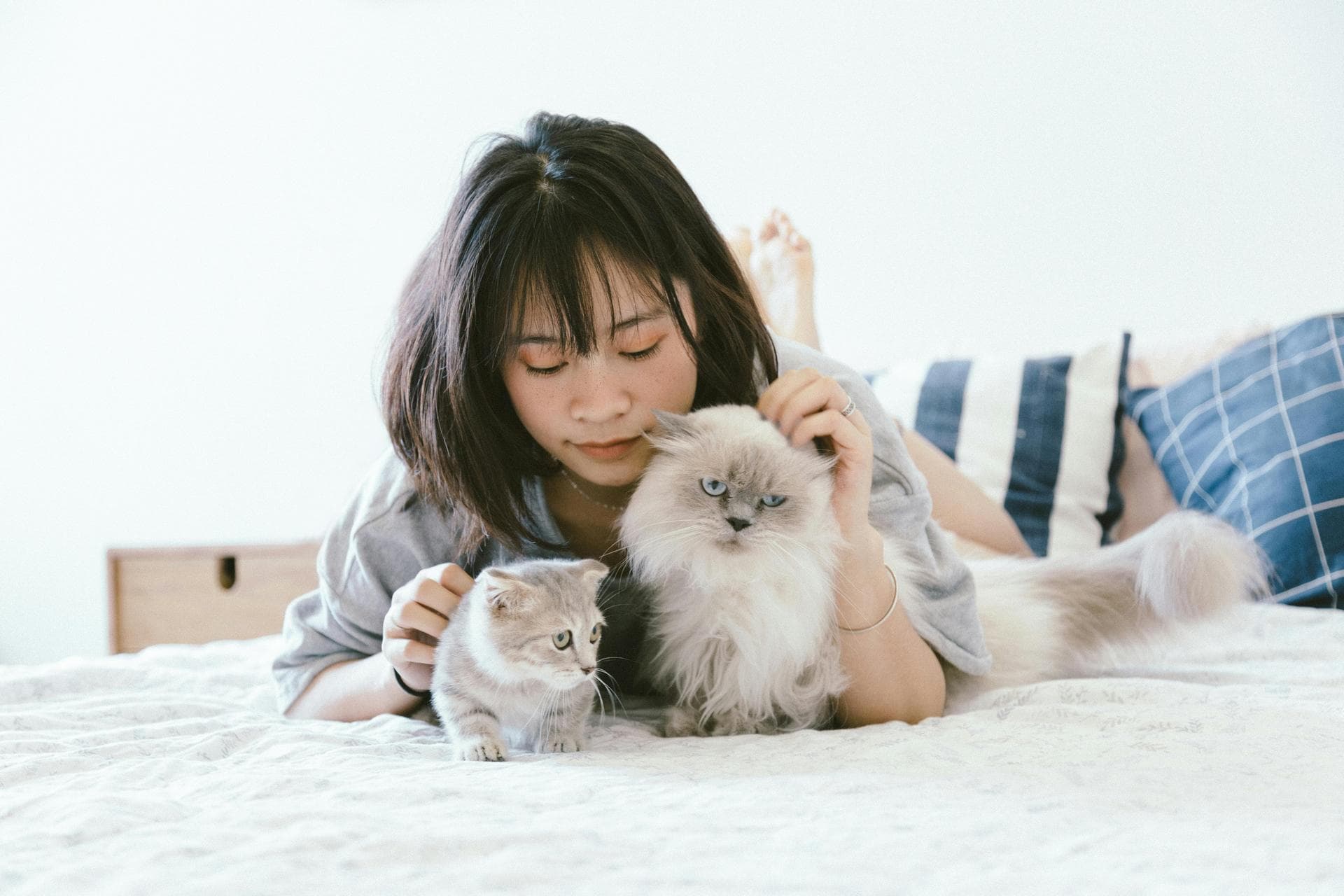 Annual Vaccination With Kennel Cough Prices in Exeter